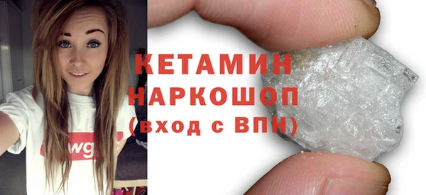 индика Козельск