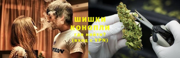 PSILOCYBIN Коряжма