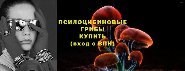 PSILOCYBIN Коряжма