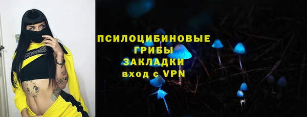 PSILOCYBIN Коряжма