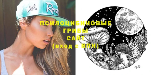 дмт Корсаков