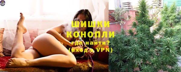 PSILOCYBIN Коряжма