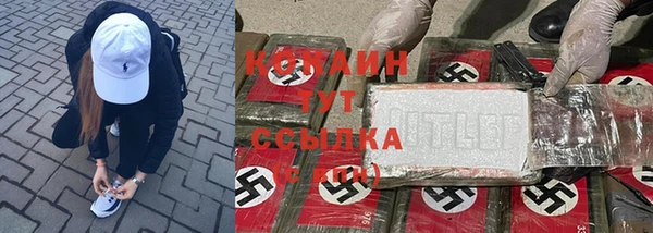 дмт Корсаков