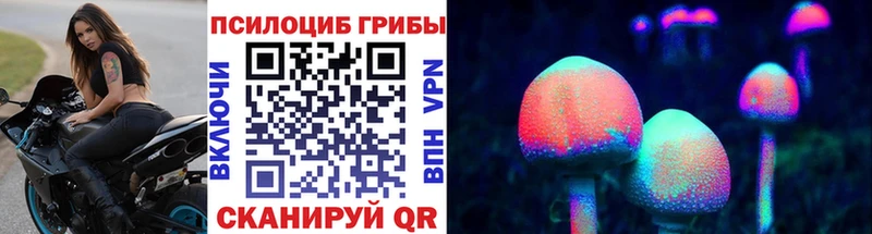 Галлюциногенные грибы Psilocybine cubensis  Абаза 